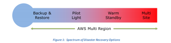 Disaster Recovery Options